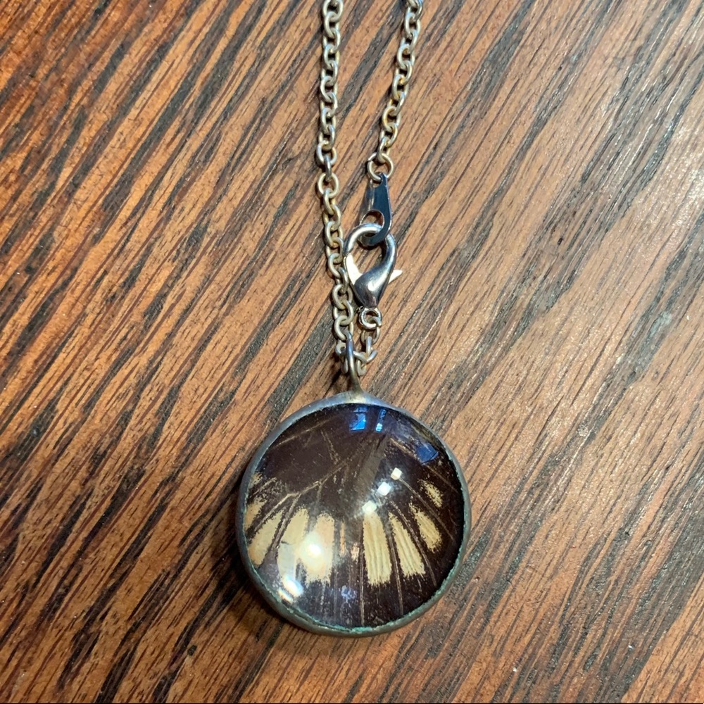 CLEARANCE Butterfly necklace. No butterflies were harmed! 01